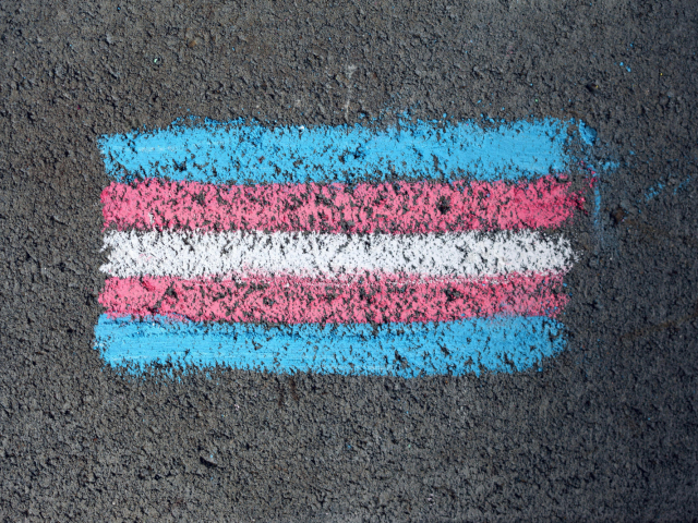 Pérou : La CNDA reconnaît officiellement le groupe social des personnes transgenres